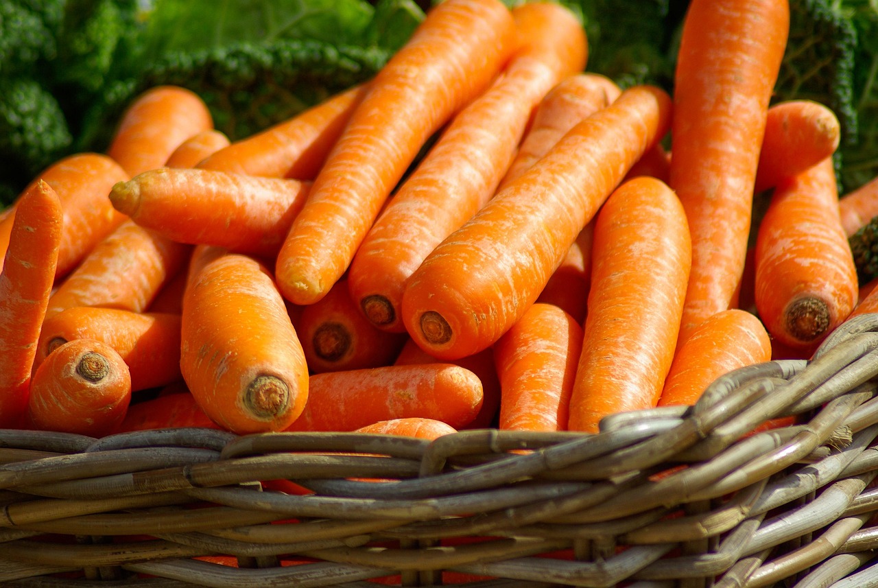 Alimentos ricos em fibra como vegetais e frutas para alimentação adequada